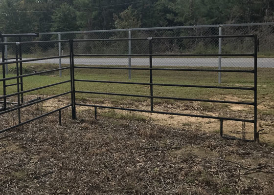 At Kapısı Panelleri Toz Boya Yüzey İşlem Metal Hayvancılık Çiftliği